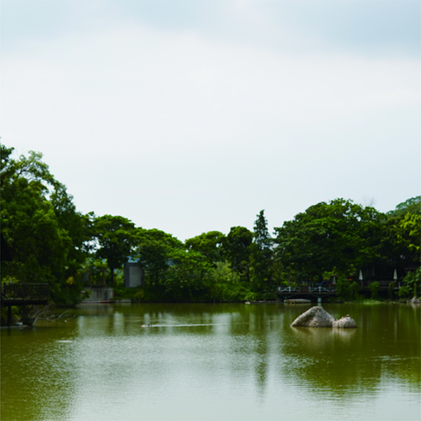 山林裡的時光村